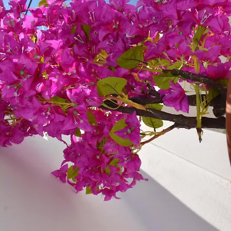 The Priest's Traditional House Kalithies