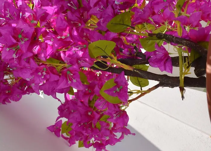 The Priest's Traditional House Kalithies