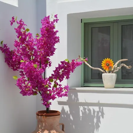 The Priest's Traditional House